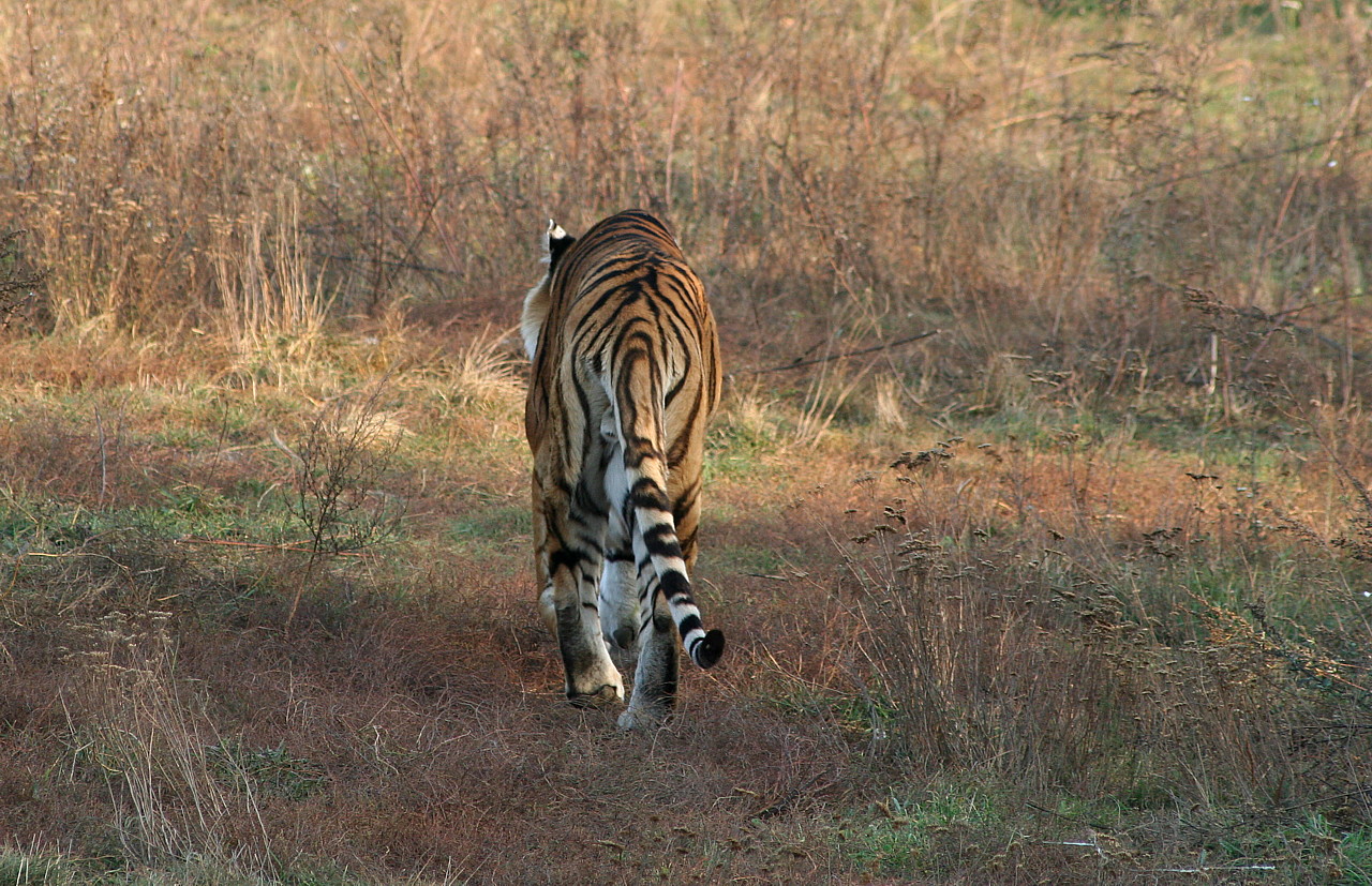 26-29.10.2006na_odchodu.JPG